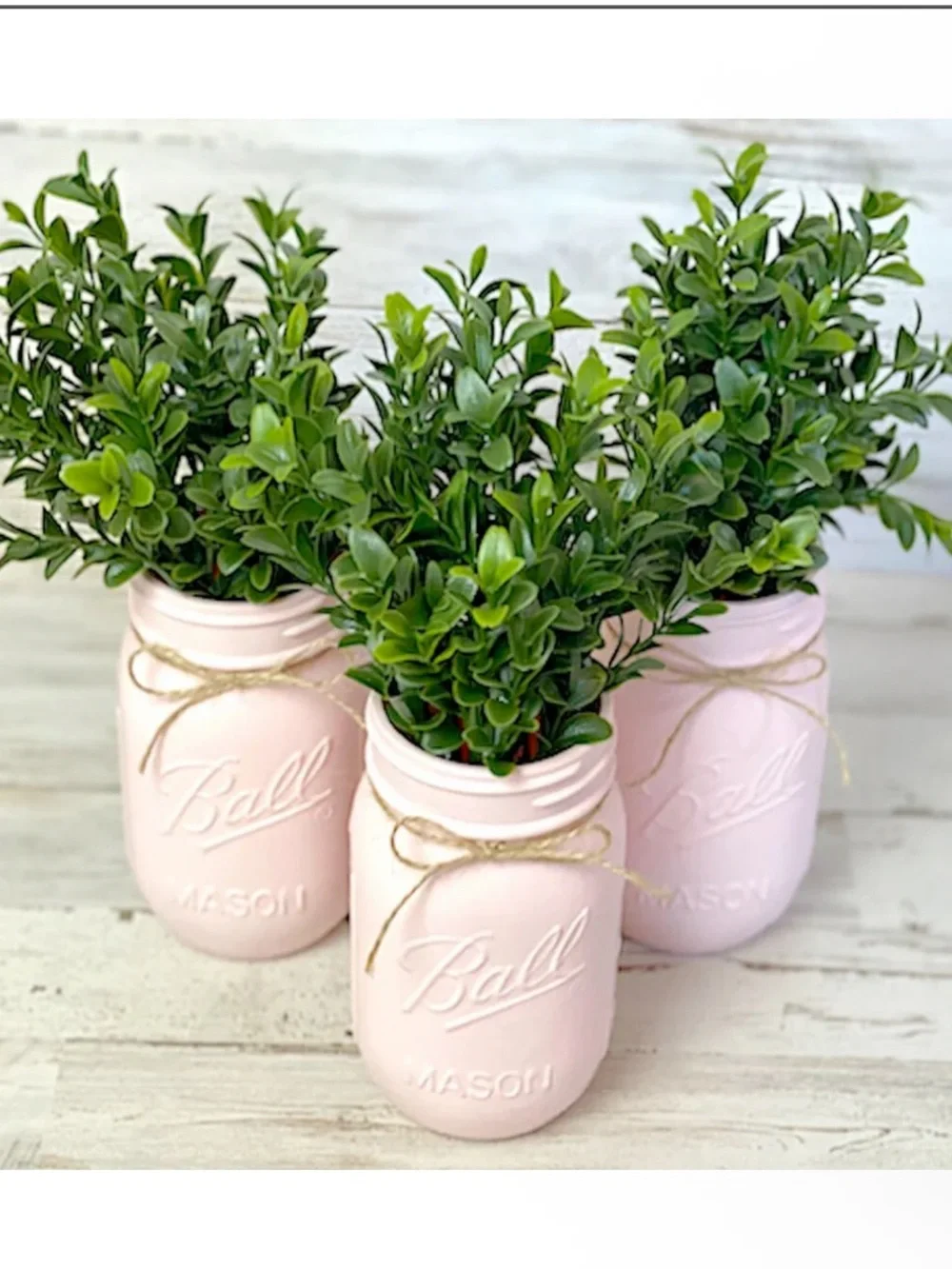 Light Pink Hand-Painted Mason Jar Planter - Set of 3 coastal collections